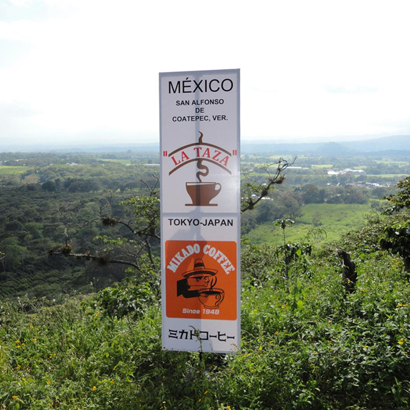 世界各国より生豆購入