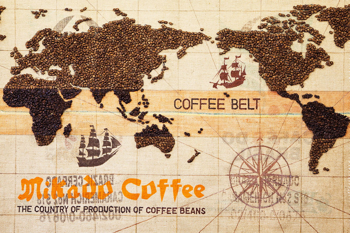 生豆のサンプル