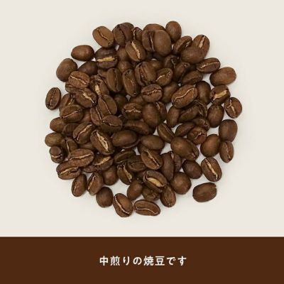 ジャマイカブルーマウンテンNO1 パウダー ジャマイカコーヒー ブルーマウンテンNO.1 豆・粉 100g